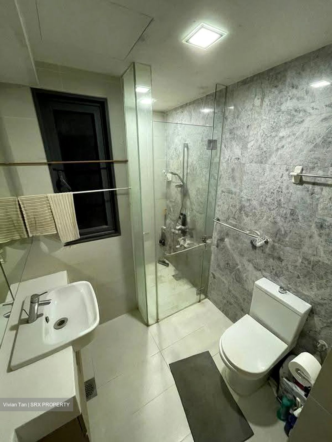 The Lakefront Residences (D22), Condominium #616432181